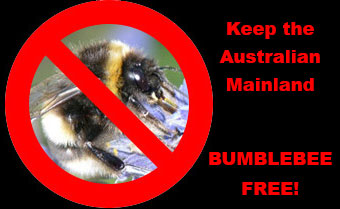 keep the Australian mainland bumblebee free