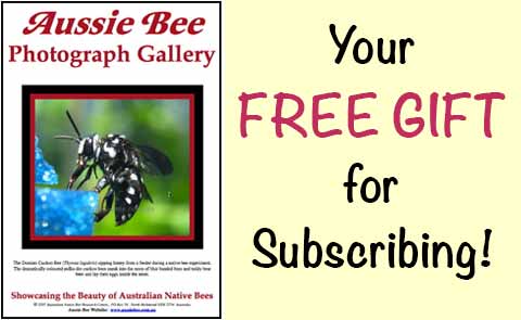 thank you gift for subscribing to Aussie Bee Email Update