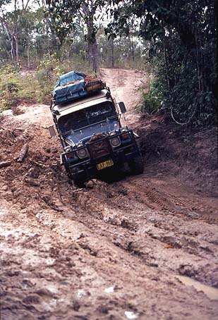 cape york safari