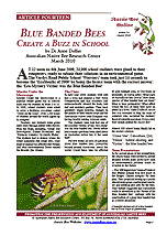 Aussie Bee Online article on native bees