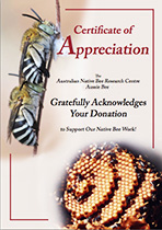 Please help Australian native bees by making a donation to Aussie Bee!