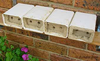 Small clay blocks for bluebanded bees