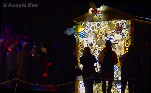 Beetopia, Vivid, Sydney, Bee Hotel for native bees attracts crowds at Botanic Gardens