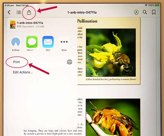 eBook printing in Books app 