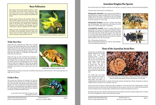 Aussie Bee ebook on Australian native bees