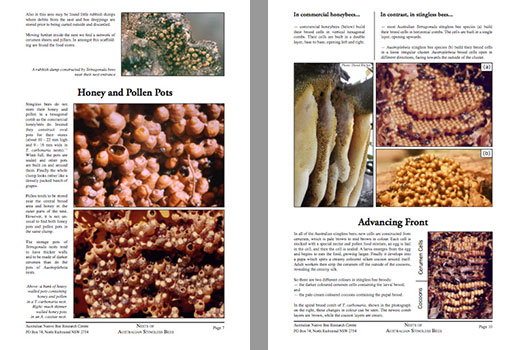 Aussie Bee ebook on stingless native bees