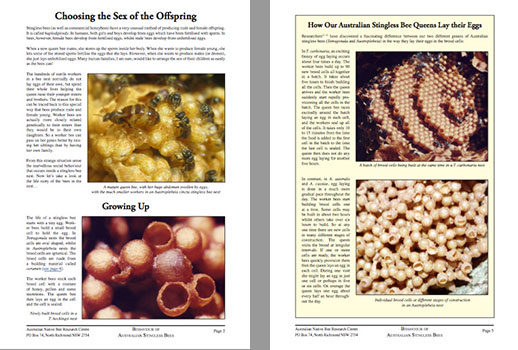 Aussie Bee ebook on stingless native bees