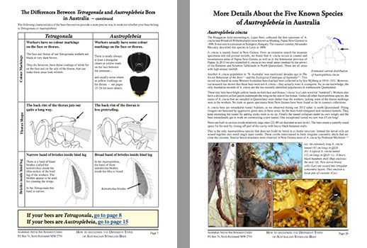 Aussie Bee ebook on stingless native bees