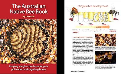 The Australian Native Bee Book by Tim Heard