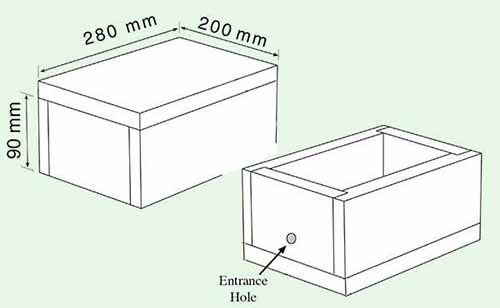 Stingless Bee Hive Designs