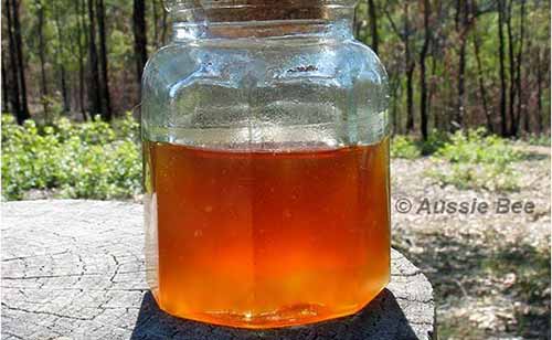 Stingless bee honey