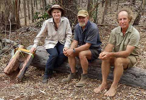 native bee specialists