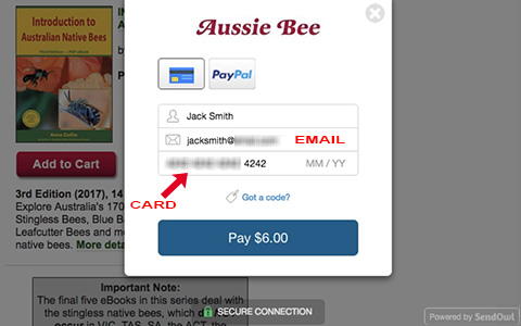pay by visa or mastercard