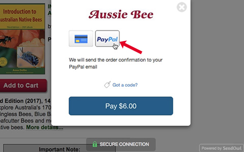 How to pay by PayPal