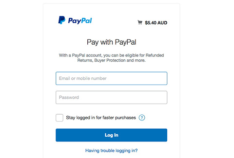 Log in to pay by PayPal